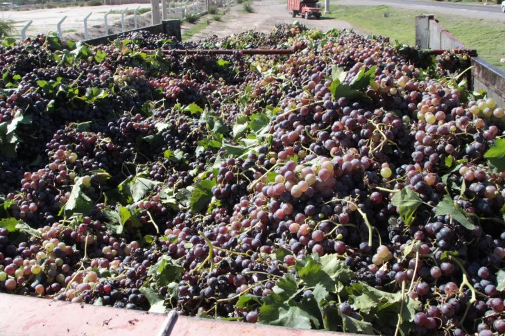 En el Gobierno de San Juan prefieren estar al margen en la disputa de Coviar
