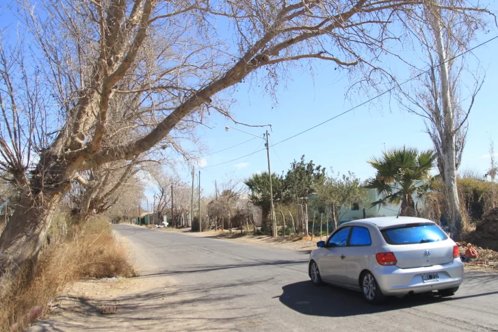 La sequía provincial impacta fuerte sobre el riego y el buen estado del arbolado público