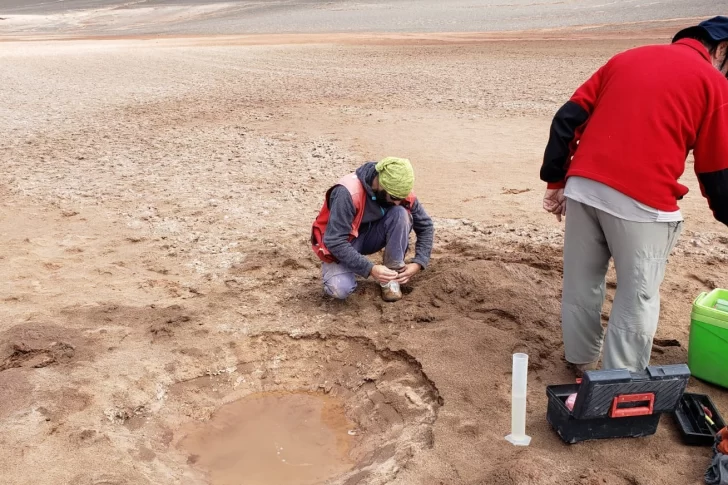 Los geólogos que siguieron un pálpito y descubrieron litio en la cordillera local