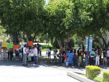 Entre polémica y críticas, aprobaron la ley sobre los perros peligrosos Entre polémica y críticas, aprobaron la ley sobre los perros peligrosos