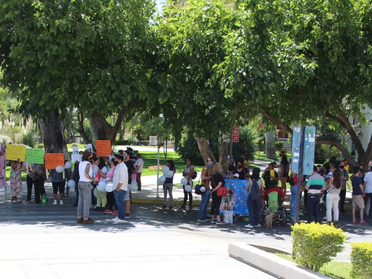 Entre polémica y críticas, aprobaron la ley sobre los perros peligrosos Entre polémica y críticas, aprobaron la ley sobre los perros peligrosos