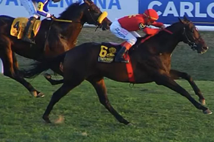 The Punisher dio un golpe de nocaut