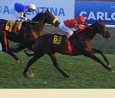 The Punisher dio un golpe de nocaut