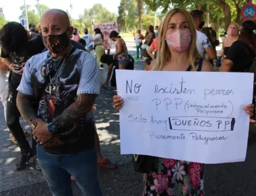 Harán un hogar de tránsito para cuidar de los perros que están judicializados Harán un hogar de tránsito para cuidar de los perros que están judicializados