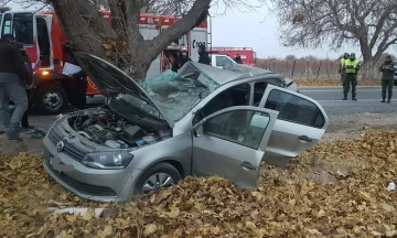 Docente, grave al chocar en auto contra un árbol ¿iba muy rápido?