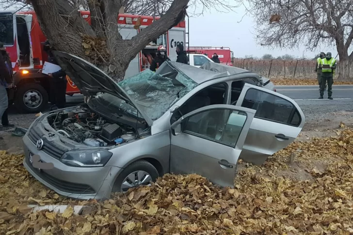 Docente, grave al chocar en auto contra un árbol ¿iba muy rápido?
