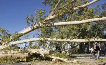Por viento y calor hubo cortes de luz en seis departamentos
