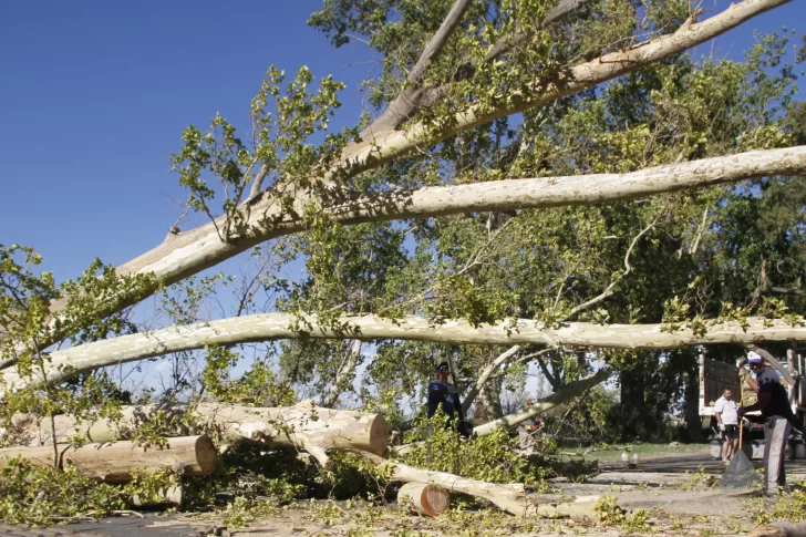 Por viento y calor hubo cortes de luz en seis departamentos