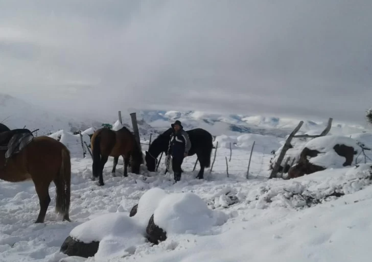 Soportando el frío para ayudar en zonas rurales Soportando el frío para ayudar en zonas rurales