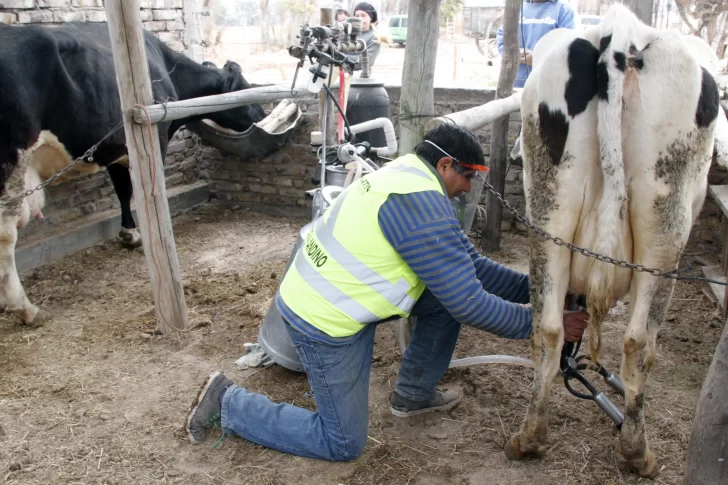 Les donaron vacas e hicieron un tambo para ayudar a merenderos de San Martín
