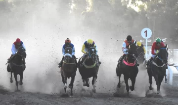 Con turf, vuelven las competencias