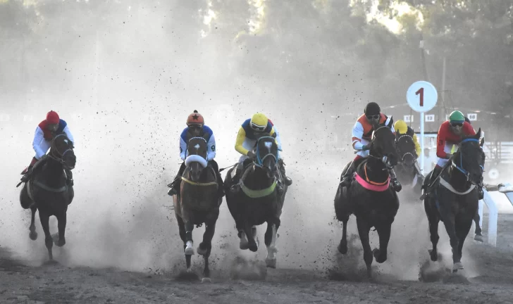 Con turf, vuelven las competencias