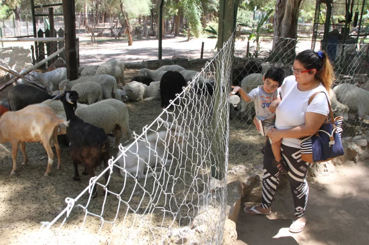 El Parque Faunístico está colapsado  y buscan canjear animales de granja