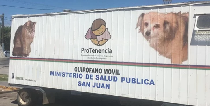Ambiente esterilizará sin costo a las perros y gatos en Capital Ambiente esterilizará sin costo a las perros y gatos en Capital