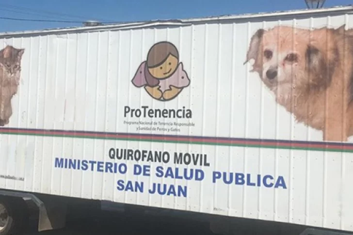 Ambiente esterilizará sin costo a las perros y gatos en Capital