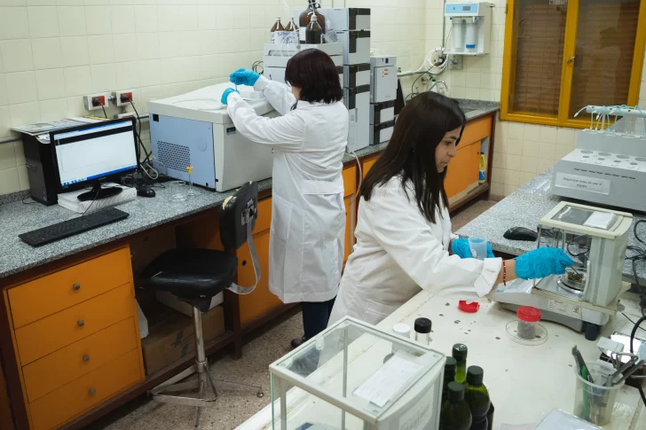 San Juan tendrá el segundo laboratorio en el país para fabricar el aceite de cannabis
