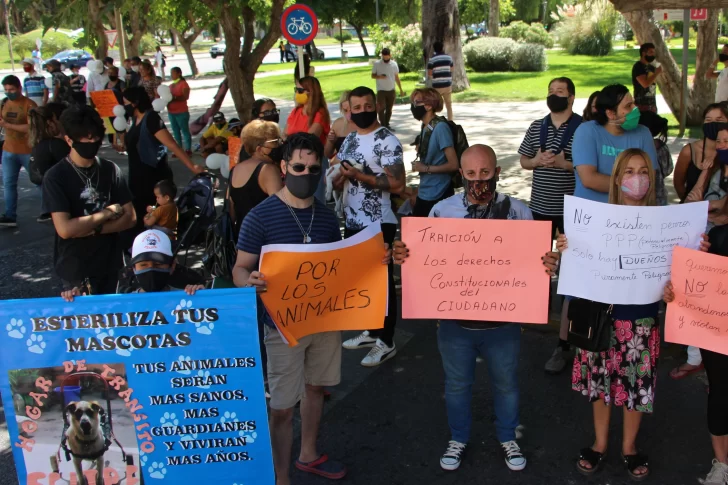 Ley de perros peligrosos: Ambiente pide recursos y compromiso social