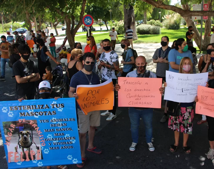 Ley de perros peligrosos: Ambiente pide recursos y compromiso social Ley de perros peligrosos: Ambiente pide recursos y compromiso social