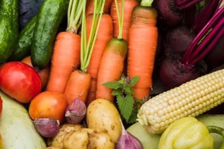 Las exportaciones sanjuaninas en 2020 registraron su peor marca en 12 años