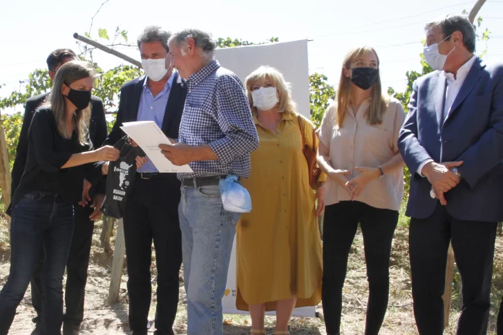 En Anses calculan entregar en 90 días unas 400 jubilaciones a obreros de viña