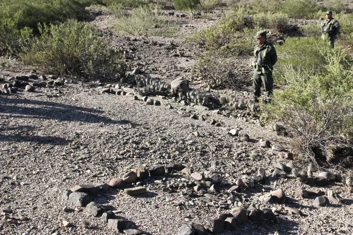Geoglifos: conformaron una comisión de especialistas para investigar el sitio
