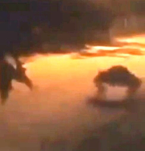 Revuelo por un video en el que decían ver una figura escalofriante en Las Casuarinas