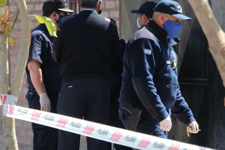 Preocupa que anotan pocos perros peligrosos y amenazan con las multas