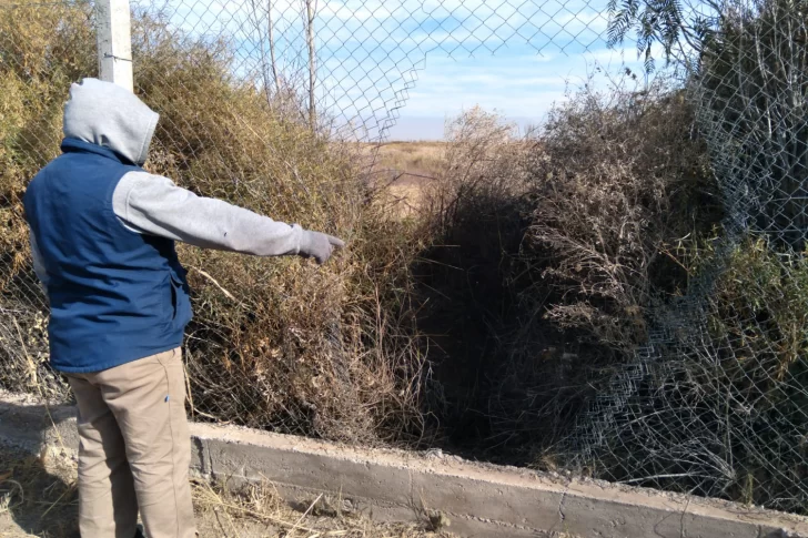 Una bodega con 56 años de historia en 25 de Mayo, al borde de cerrar por los robos