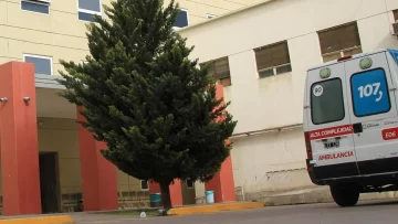 Un menor quedó internado por ingerir una planta “tóxica” Un menor quedó internado por ingerir una planta “tóxica”