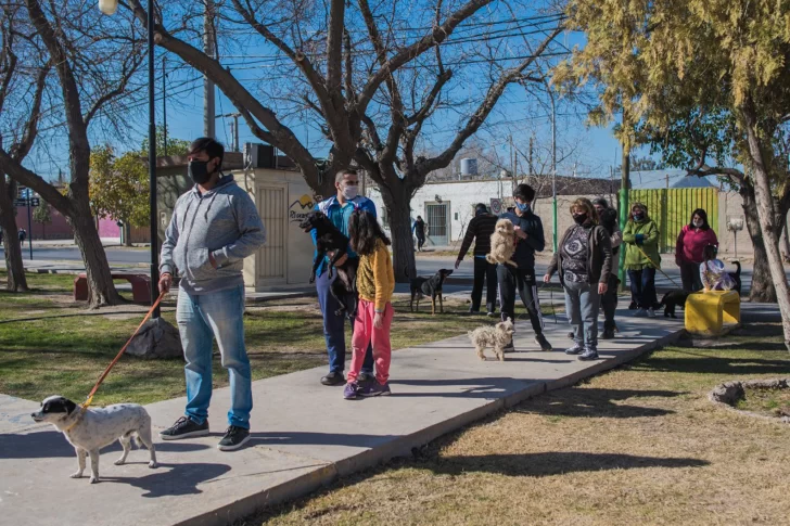 Para fomentar el respeto a los animales, lanzaron el primer concurso de mascotas
