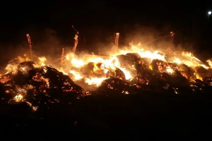 Perdió varios animales por un incendio en su finca