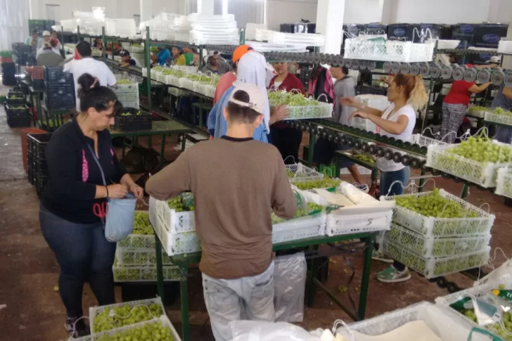 Están en duda operaciones de venta de vino a granel y de mosto a Rusia por el conflicto