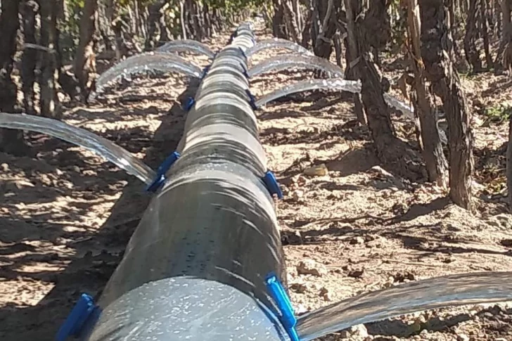 Suman ayudas para eficientizar el uso del agua para el riego