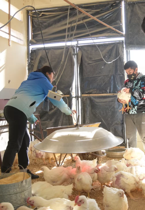 Alumnos de Zonda abrirán nuevamente las puertas de la escuela para atraer turistas Alumnos de Zonda abrirán nuevamente las puertas de la escuela para atraer turistas
