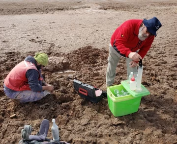Quieren iniciar campaña de exploración de litio a más tardar en febrero Quieren iniciar campaña de exploración de litio a más tardar en febrero