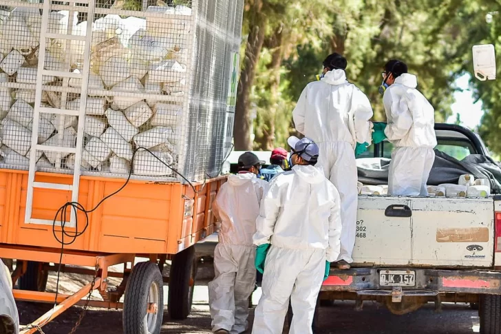 Sarmiento: limpian el campo y reciclan