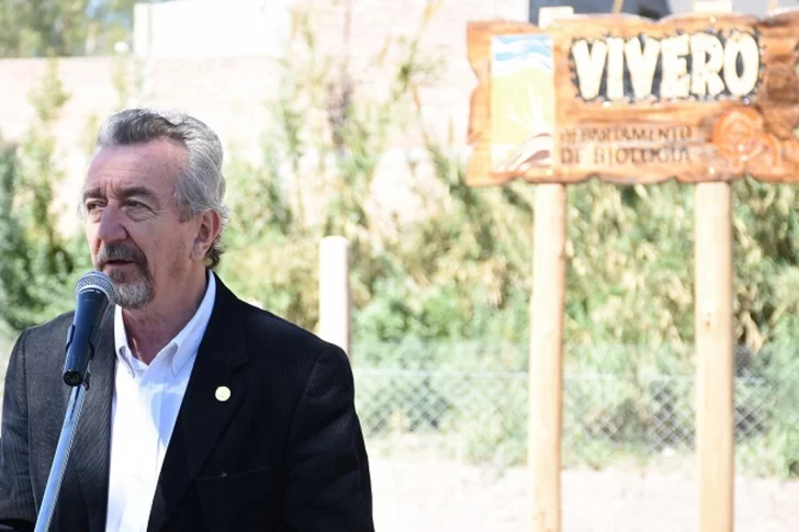 En la Facultad de Exactas reactivarán el vivero propio