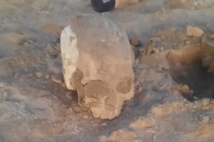 La familia Tellechea pidió información por el cráneo hallado en Ullum