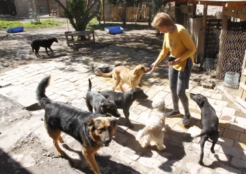 Con rifas, ferias y donaciones, las protectoras cubren sus gastos con poca ayuda oficial Con rifas, ferias y donaciones, las protectoras cubren sus gastos con poca ayuda oficial