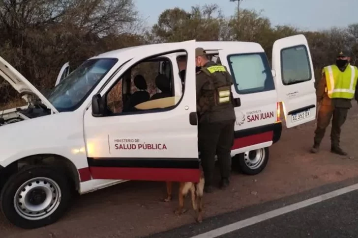 En un rápido sumario, echan a un jefe de movilidades por transportar droga