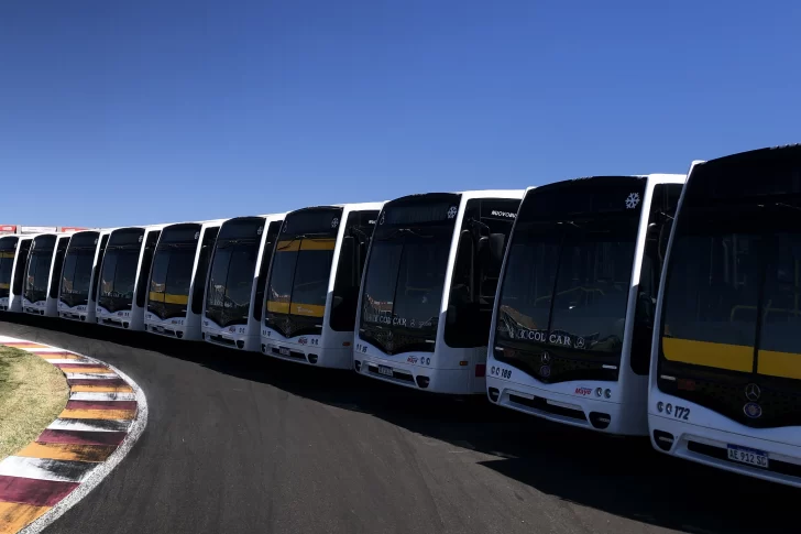Presentaron los nuevos colectivos de la Red Tulum, la que arrancará en dos meses