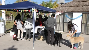 Vacunaron más de un perro por minuto Vacunaron más de un perro por minuto