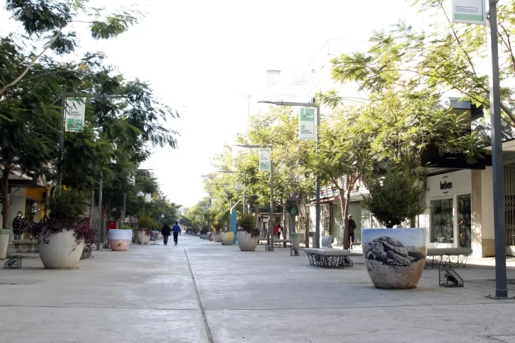 Fin de semana largo: cómo funcionarán los servicios el próximo lunes