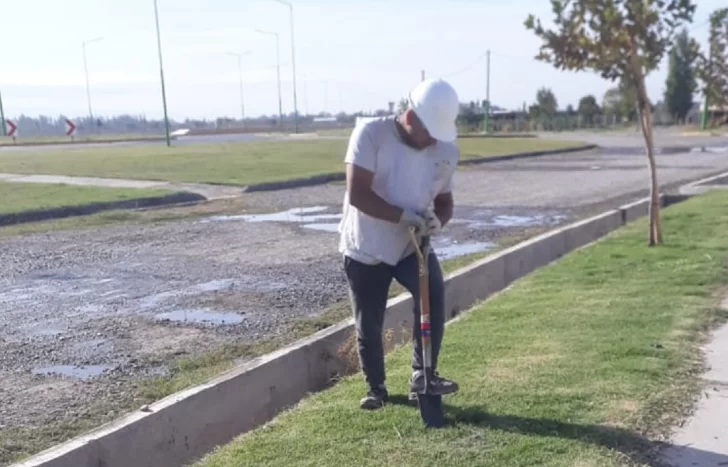 Ambiente y los municipios acordaron una reforestación para agosto y septiembre