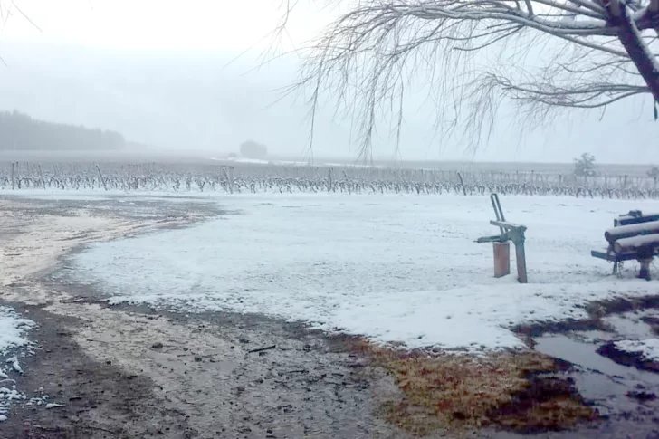 Primeras cifras oficiales confirman el pesimismo por el pronóstico hídrico