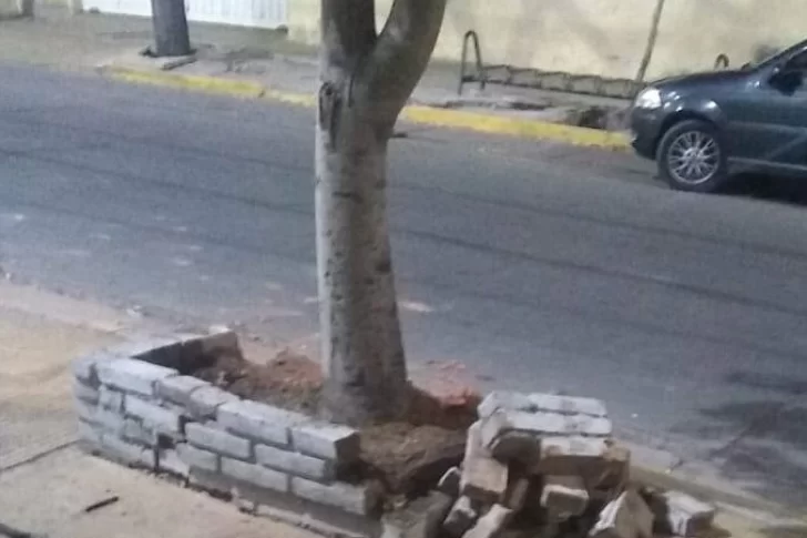 Abogado chocó ebrio