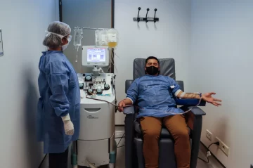 Regulan estrategia de uso de plasma y suero equino en pacientes con Covid-19 Regulan estrategia de uso de plasma y suero equino en pacientes con Covid-19