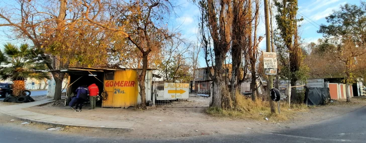 Por ser un bien del Estado, una familia deberá devolver terrenos de Enología