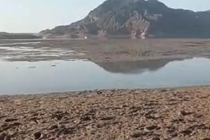 Riego en noviembre: Hidráulica quiere cortes, pero que salgan por consenso