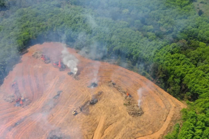 Especialistas indican que el Amazonas comenzó a emitir dióxido de carbono en vez de absorberlo